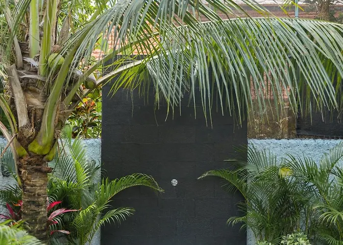 Nari Canggu